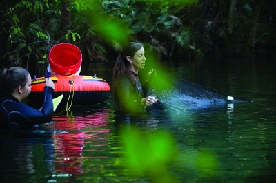 Students in Water